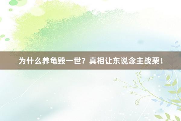 为什么养龟毁一世？真相让东说念主战栗！