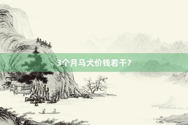 3个月马犬价钱若干？