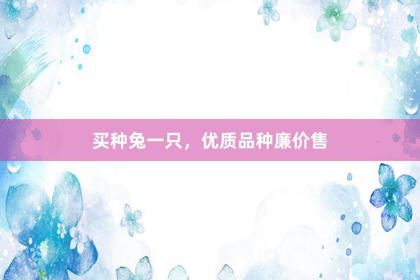 买种兔一只,优质品种廉价售