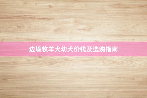 边境牧羊犬幼犬价钱及选购指南