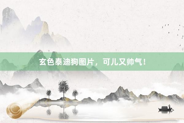 玄色泰迪狗图片，可儿又帅气！
