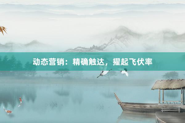 动态营销：精确触达，擢起飞伏率